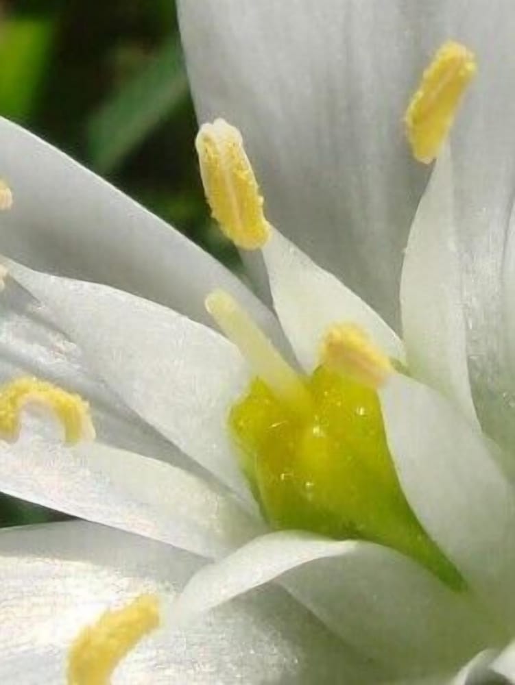 Photo 34