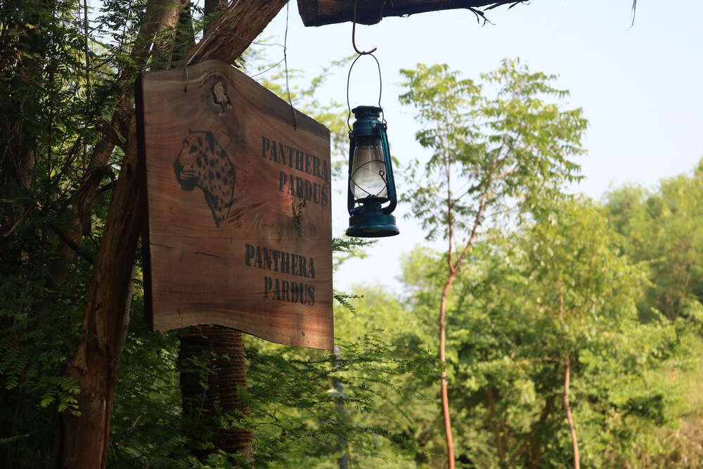 Dev's Campground