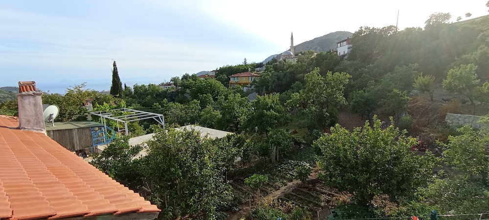 Photo 21