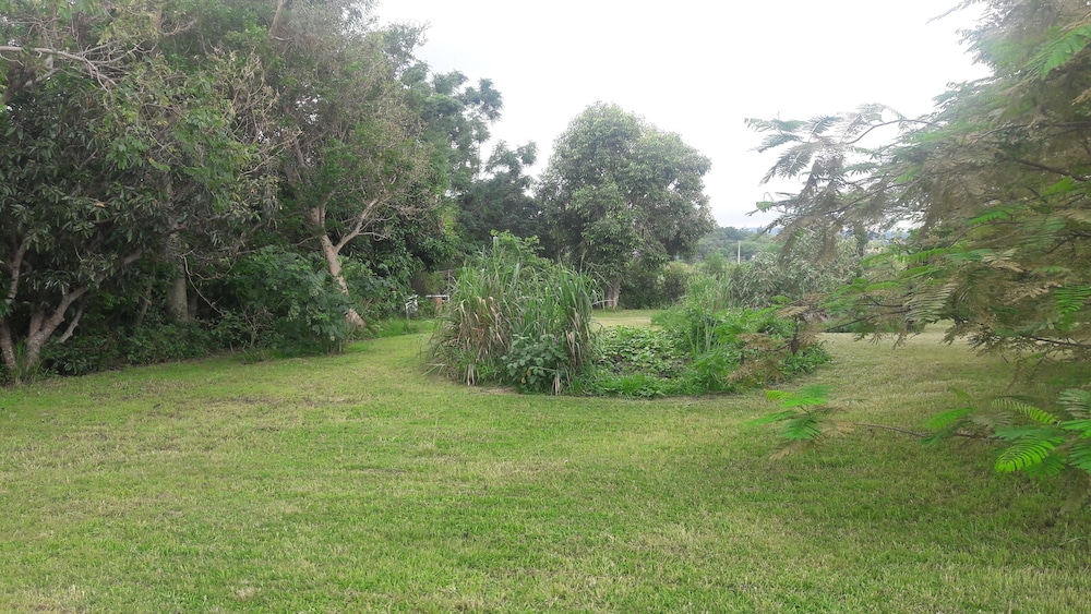Photo 41