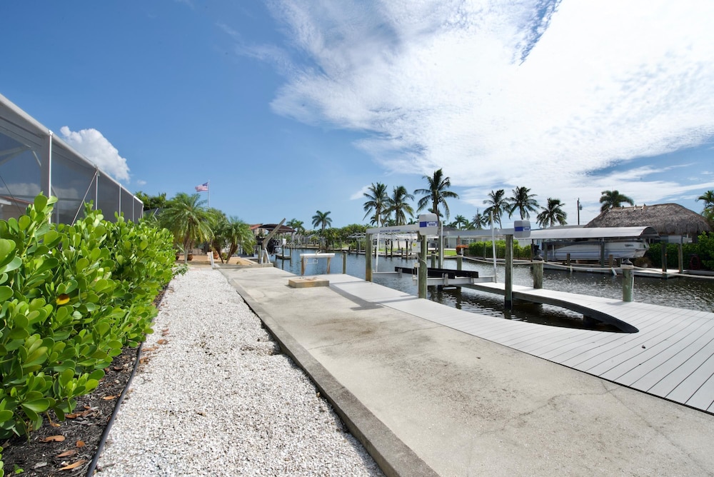 Palmview Paradise