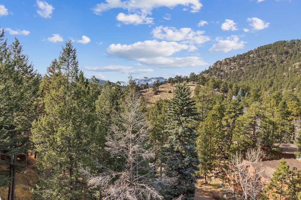 Cascade Mountain Home By Estes Park Homes 6 Bedroom Home