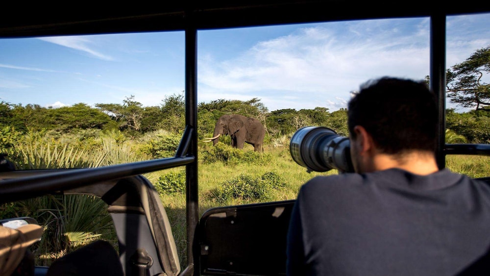 Royal Thonga Safari Lodge