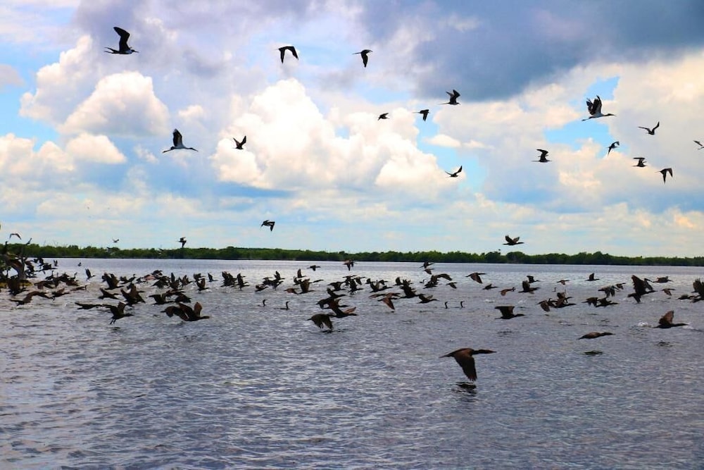 San Felipe Inn Yucatan - Property Image 12