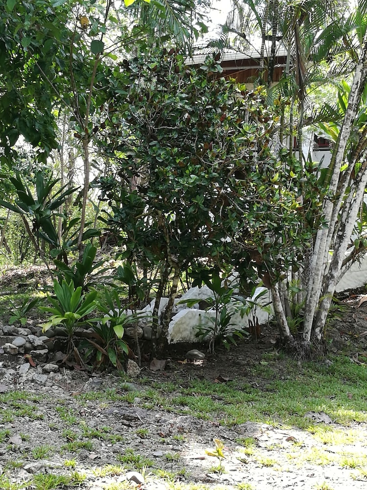 Photo 40
