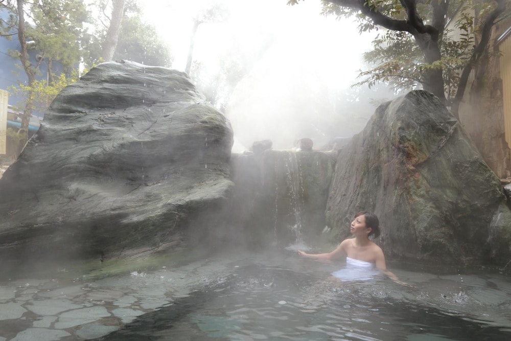 Awara Onsen Seifuso
