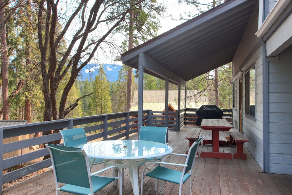 Cabin Among the Firs