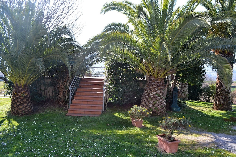 Photo 42