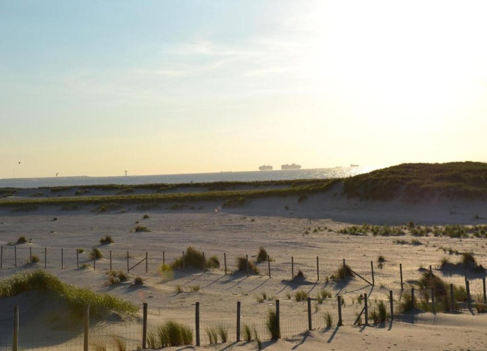 Bungalow in Netherlands Near the Coast, photo 6