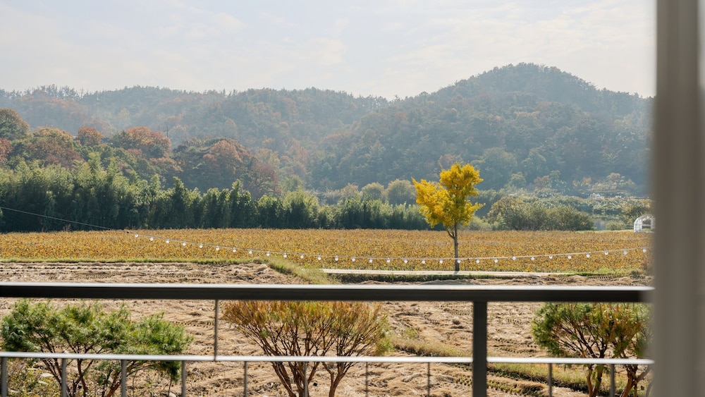 Gyeongju Starlight Pension
