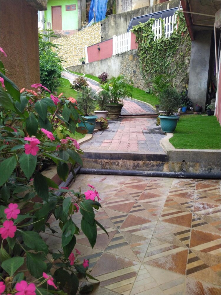 Photo 19
