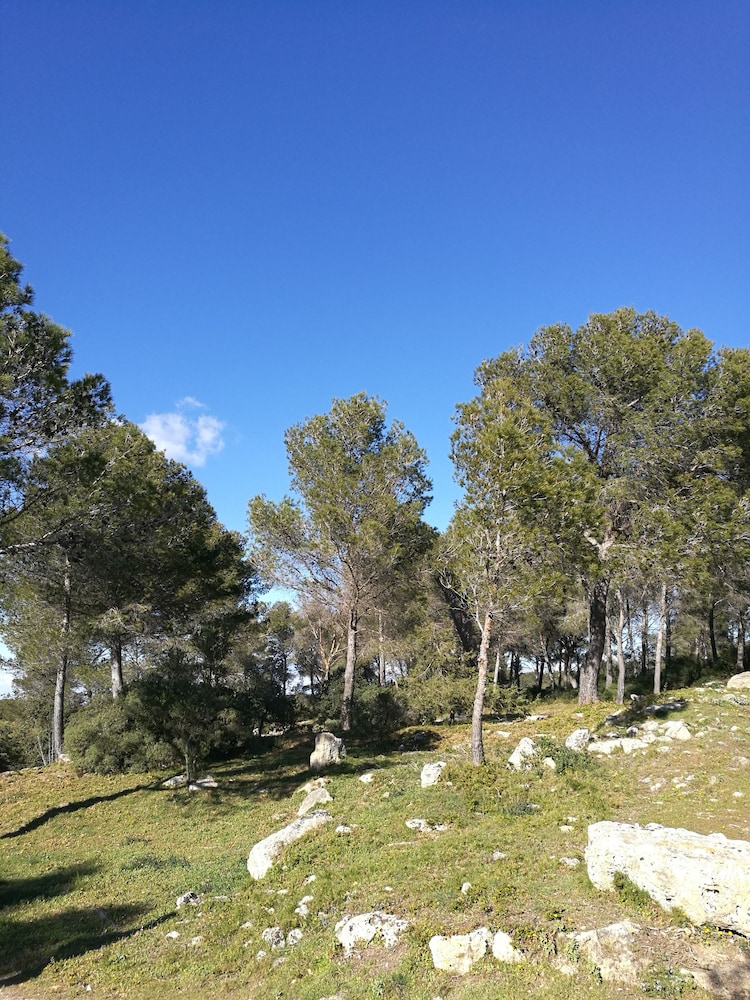 Chambre d'hotes La Cigalière, photo 26