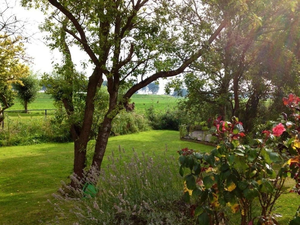 Dike House Near Breskens With Stream Garden
