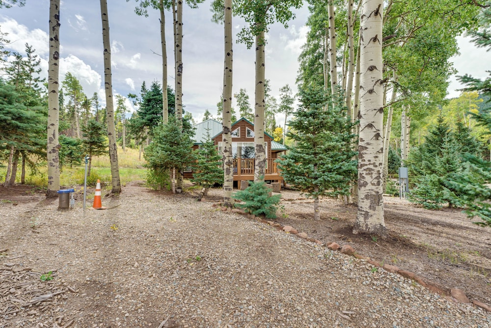 Mountain Views: Cabin in Fort Garland Near Hiking view 5