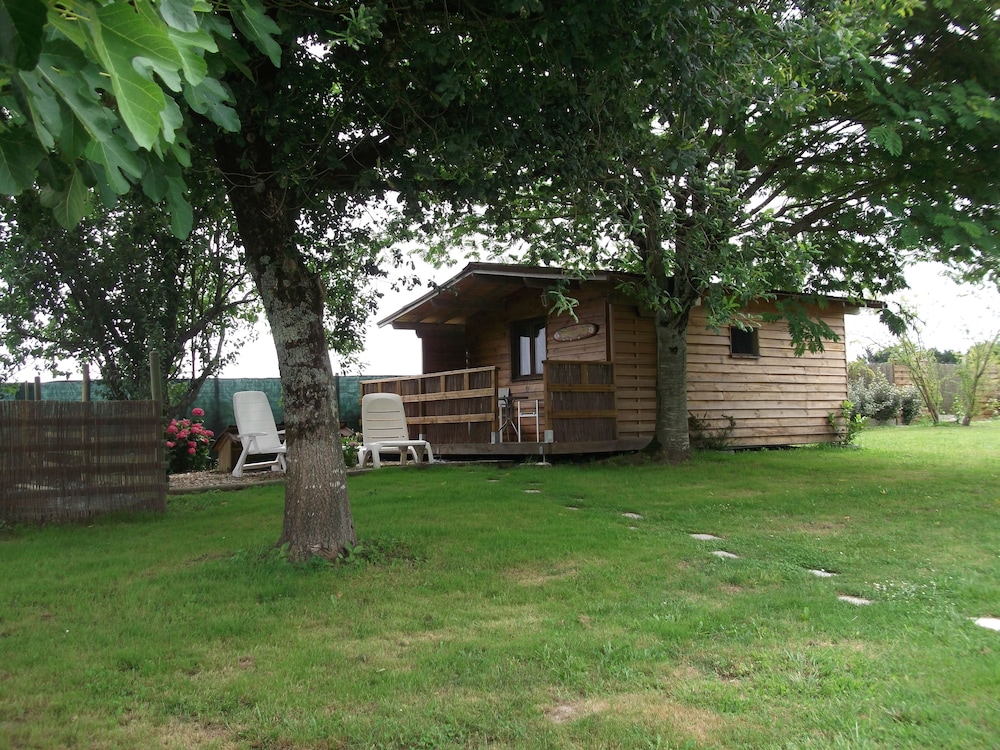 Photo 46