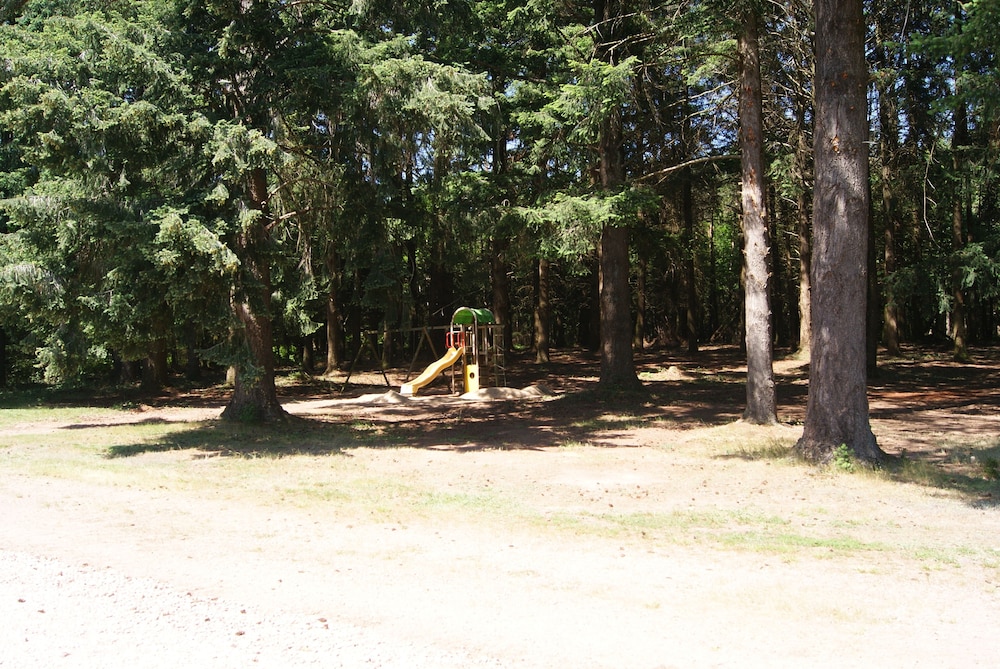 Photo 29