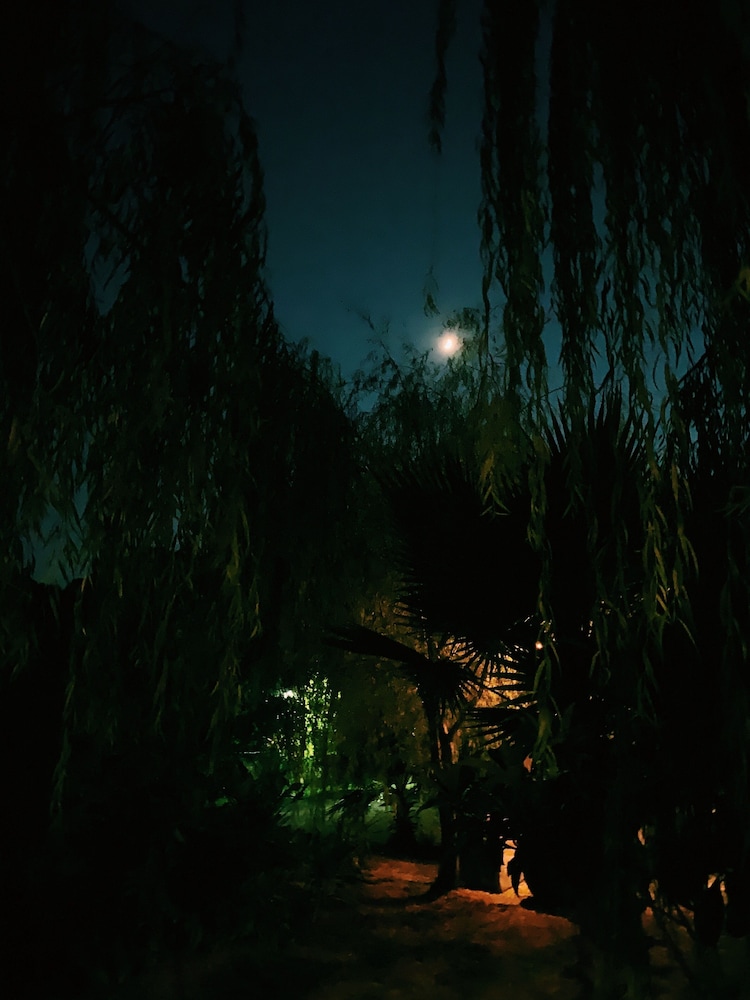 Photo 41