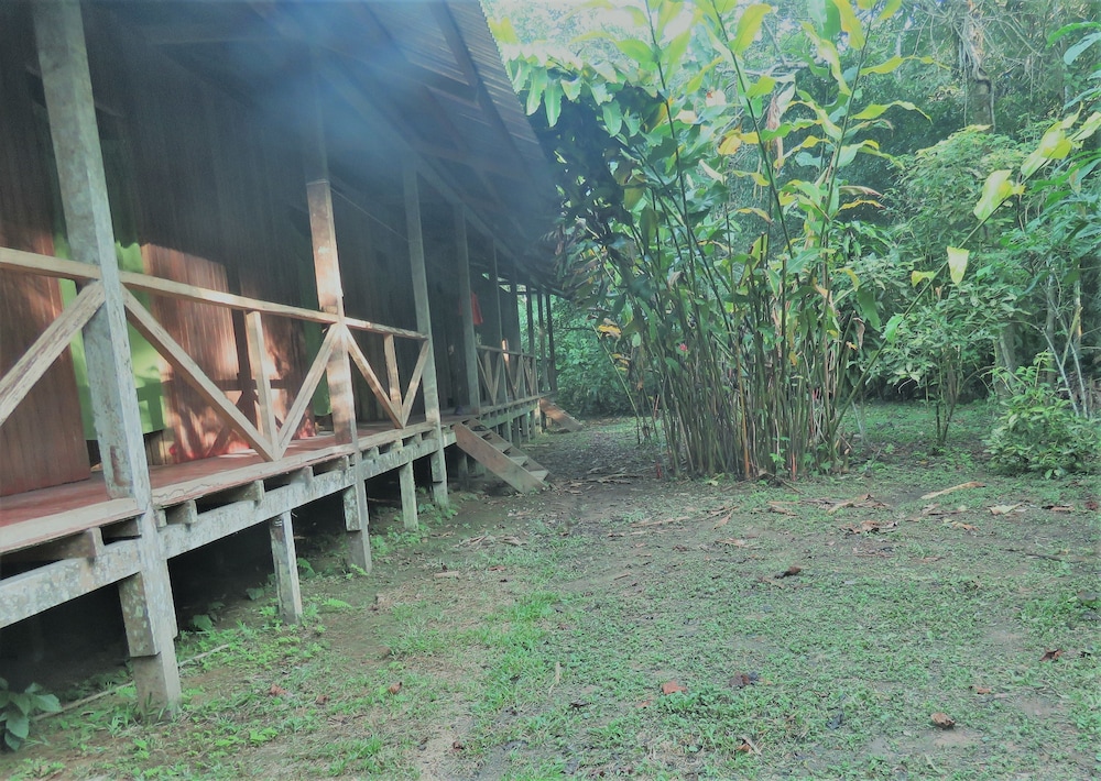 Photo 22