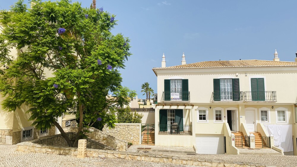 Oliveira CIP view 2
