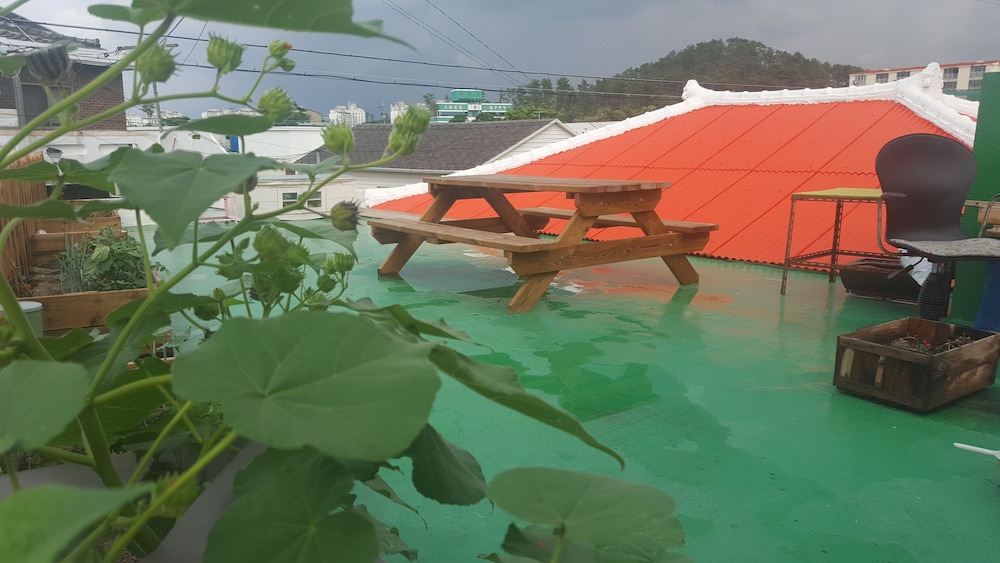 roof