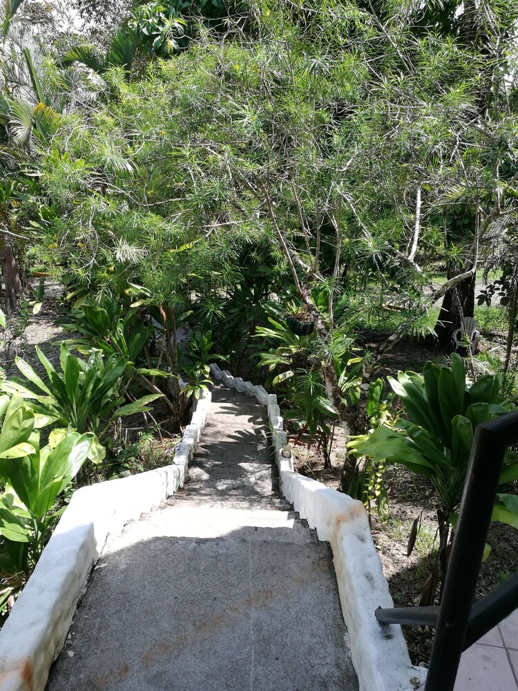 Photo 51