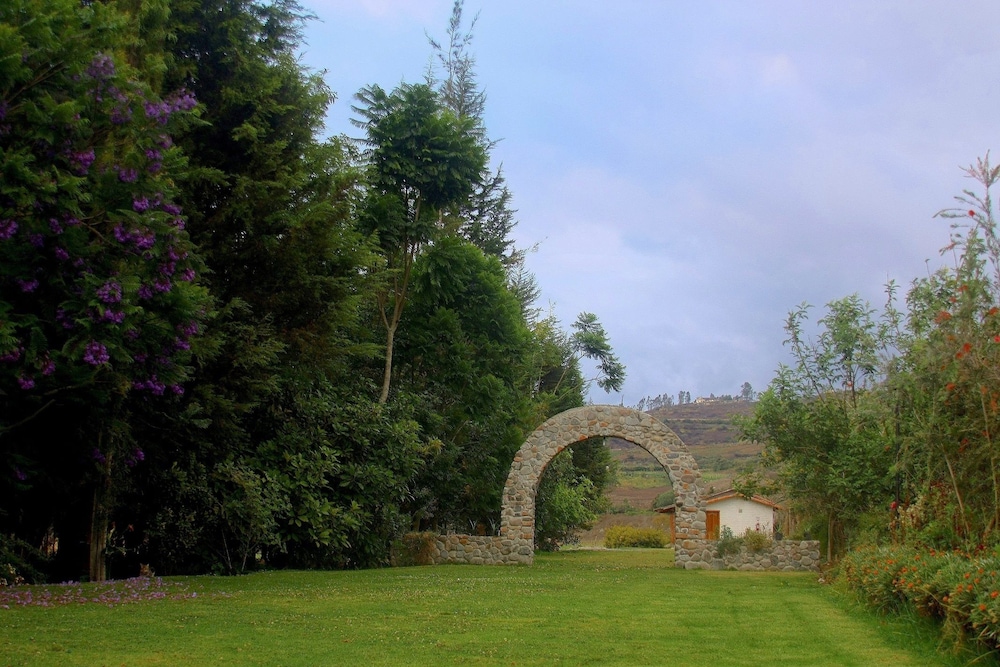 Photo 44