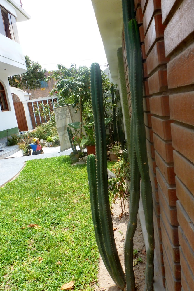 Photo 41