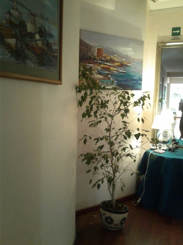 Hotel Millaray