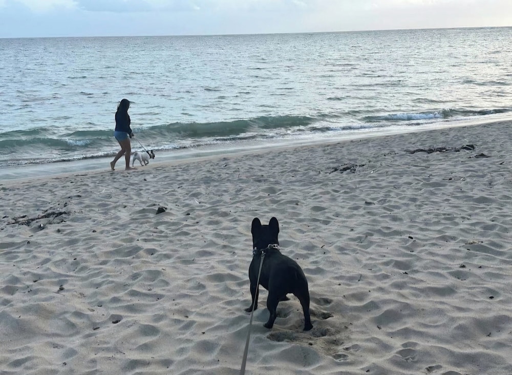 Oceanside Adventures
