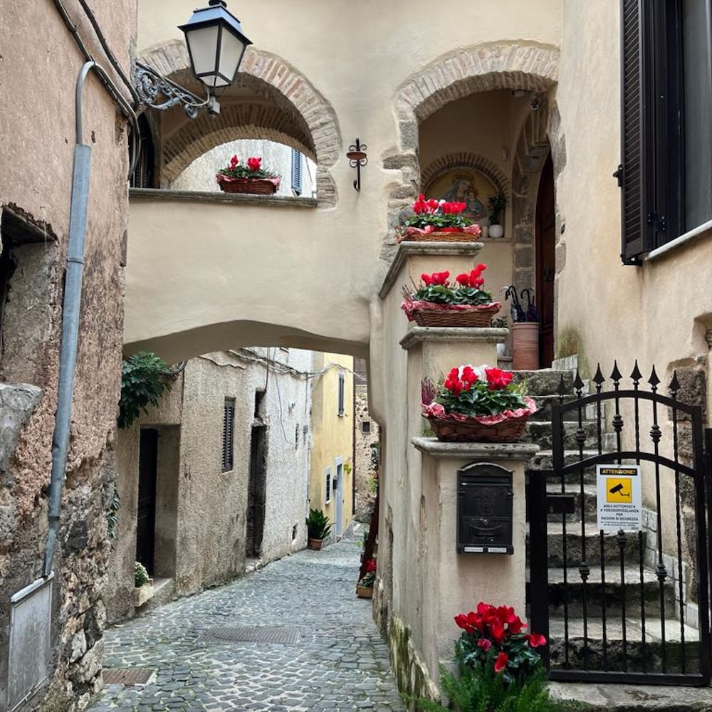 Preta Nera Andersen in Giuliano di Roma view 3
