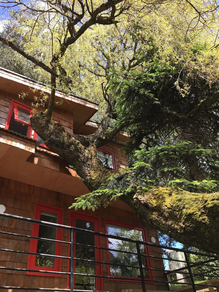 Cabanas Alma Bosque