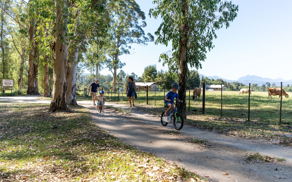 AfriCamps at Oakhurst- Glamping