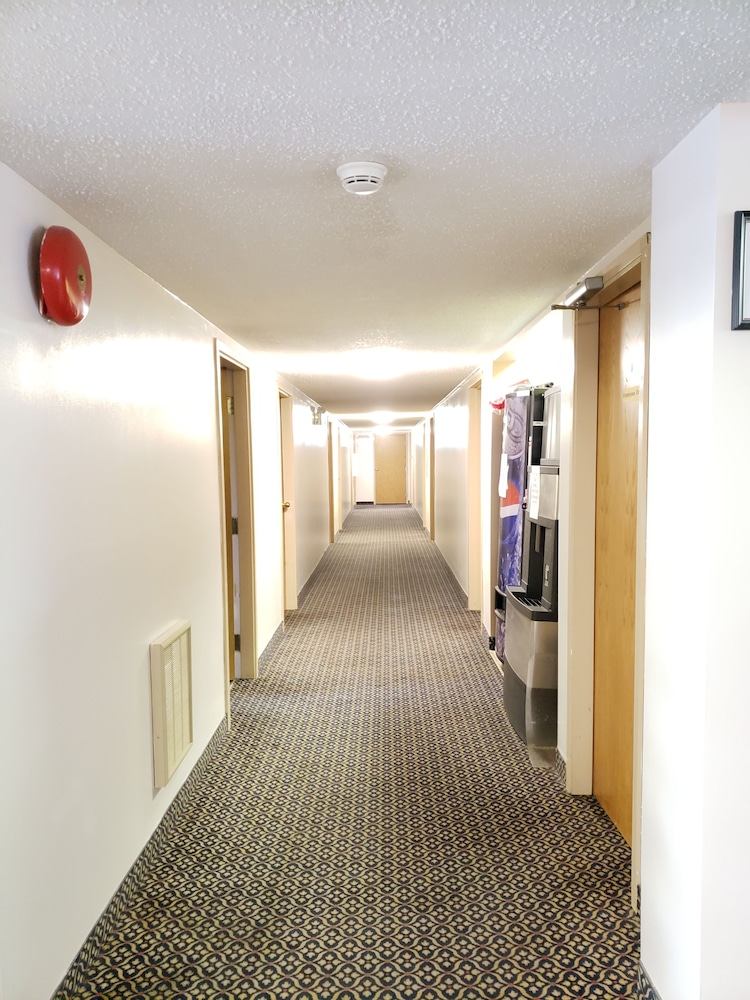 Photo 47
