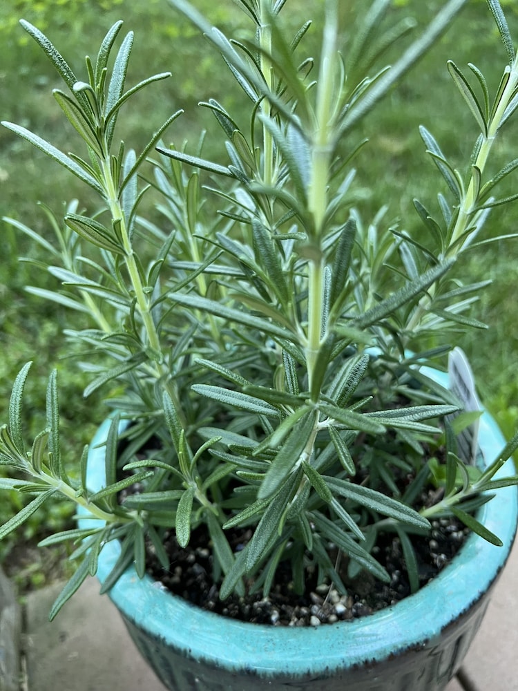 Brattleboro Vacations - The Brattleboro - Property Image 2