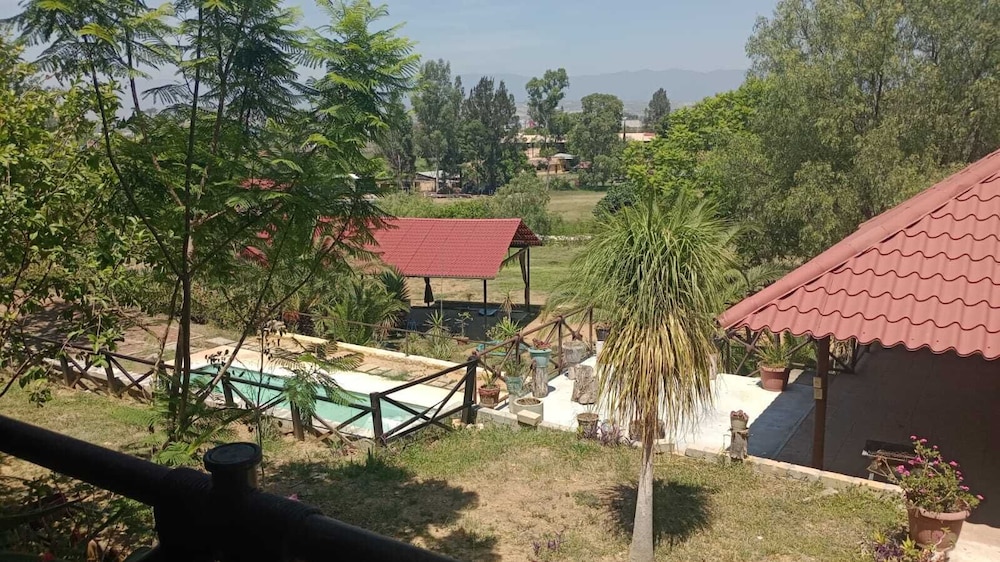 Photo 48