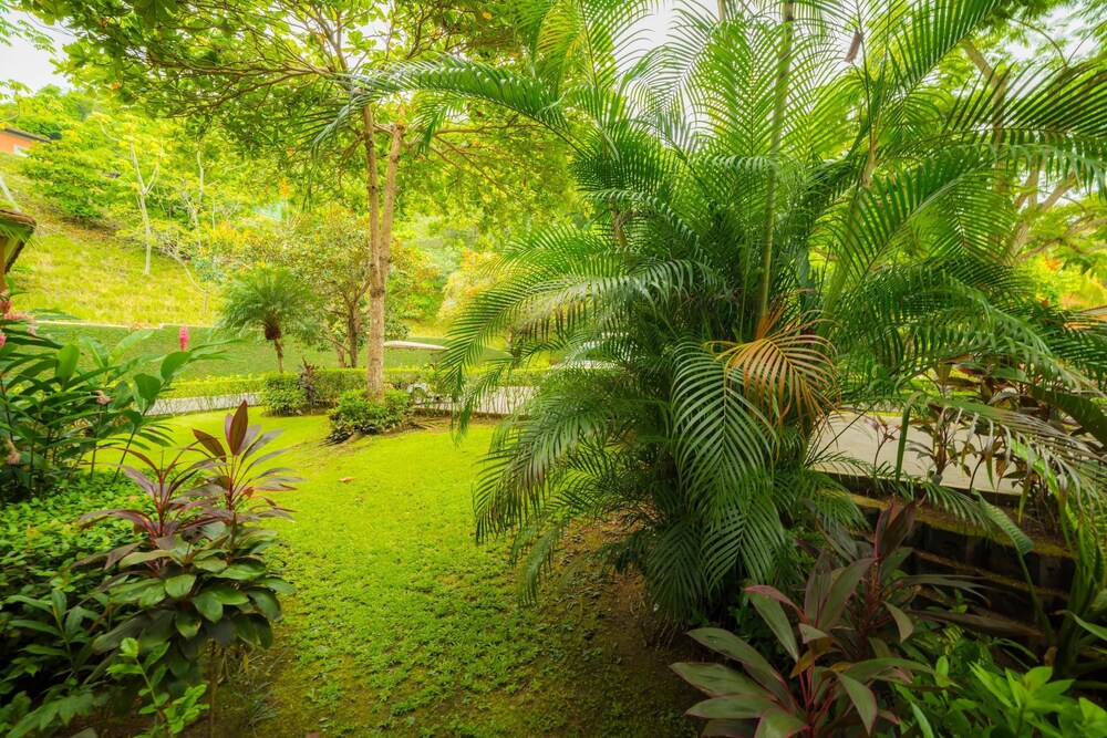 Veranda 5H - 1 Bedr 1 Bath view 5