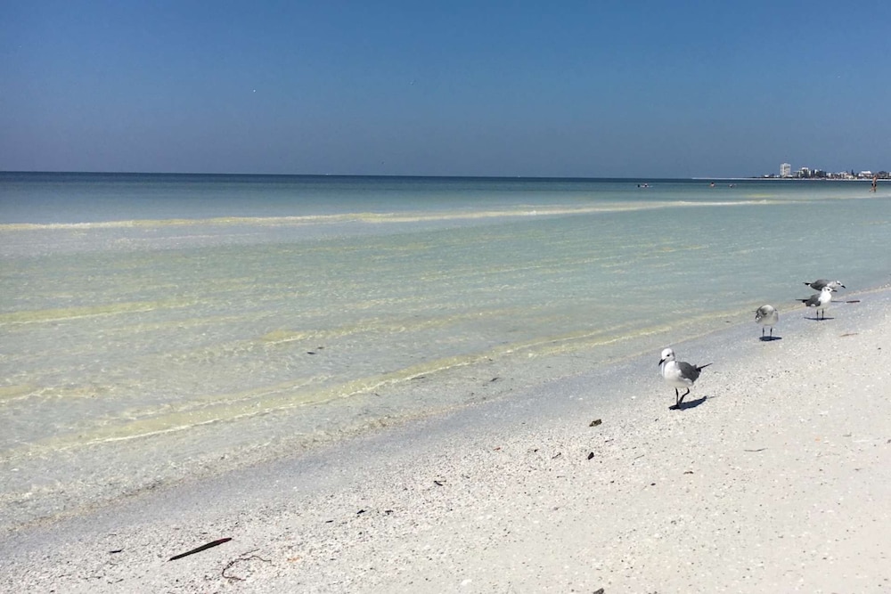 Pelican Gardens Studio 3 on Lido Key - Property Image 18