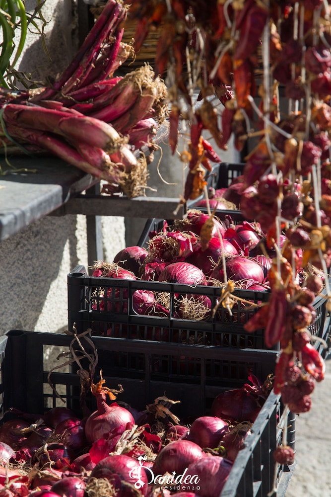 Residenza Danidea photo 4