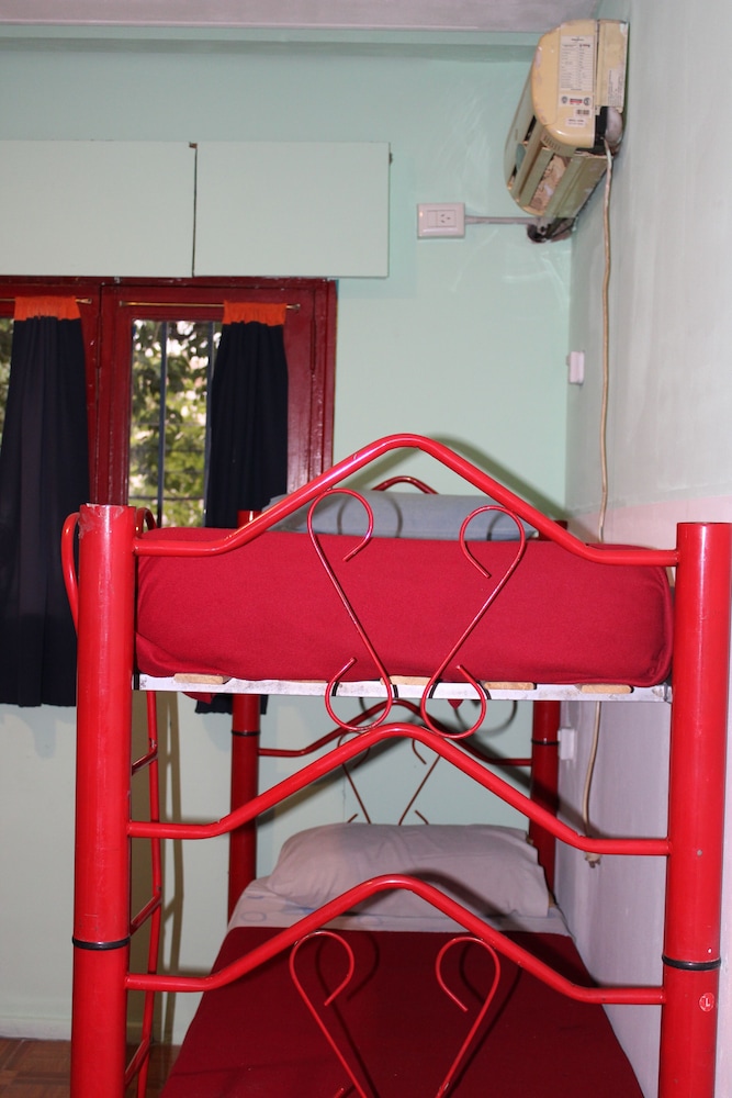 The Grapevine Hostel