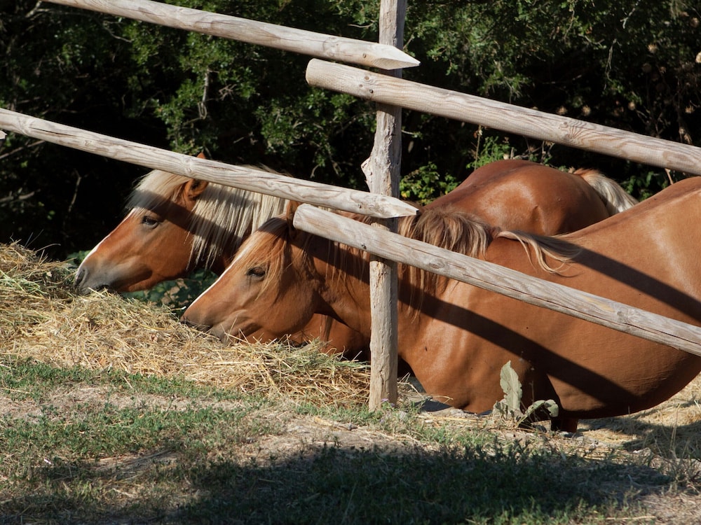 Peaceful Haven in Paciano Hills view 3
