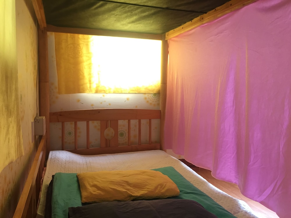 Springflower Guesthouse - Hostel