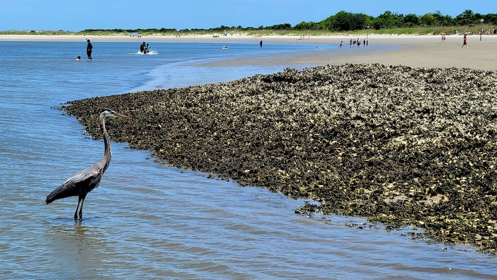 Beach Racquet B by Tybee Vacation Rentals