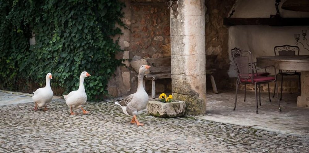 Agroturismo Son Pons view 4