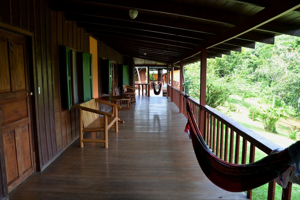 Photo 13