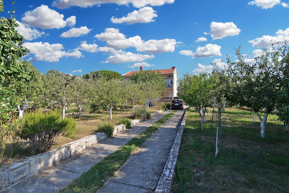 Photo 23