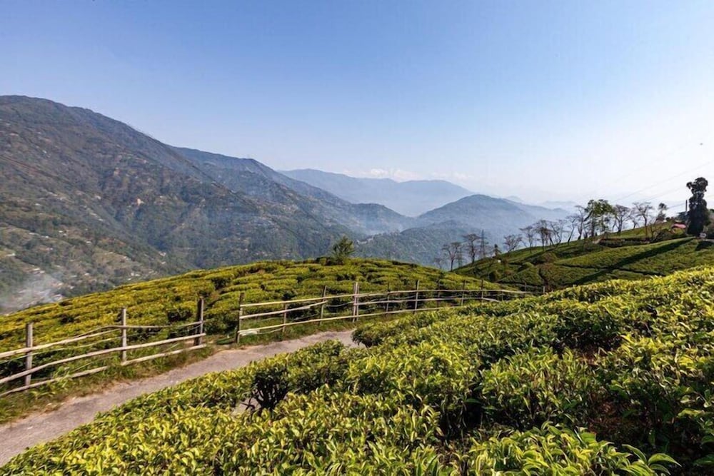 YuleTea Retreat A Premium Heritage Hotel
