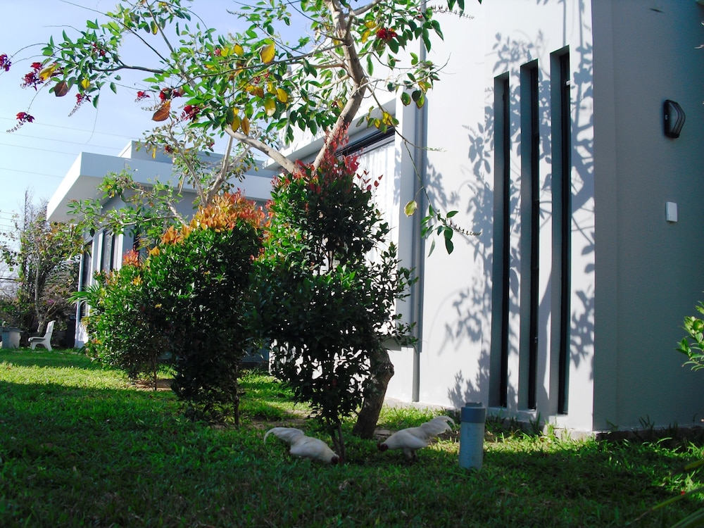 Van Nguyen Minihouse