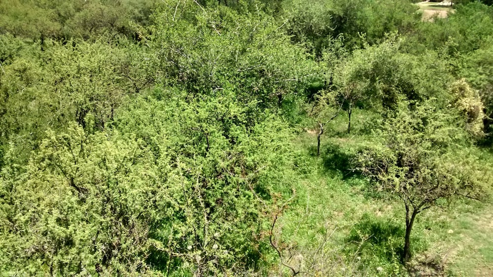 Cabaña Tongoy