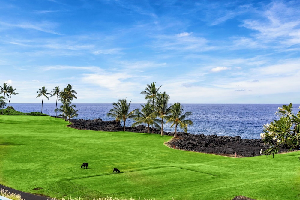 Hawaiian Unit - Outdoor Private Pool - Central AC - Vrkcv