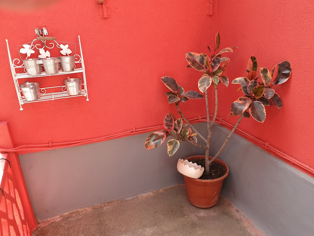 Photo 49